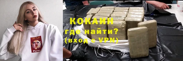 индика Алексин