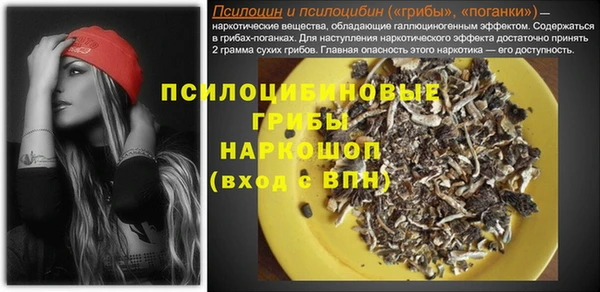 индика Алексин