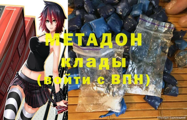 индика Алексин