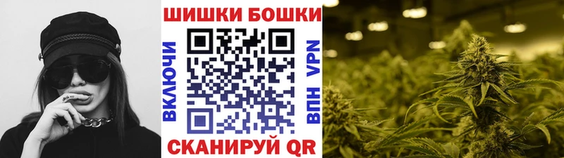 Каннабис сатива  Приозерск 